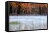 USA, Pennsylvania, Benton. Fog over Pond-Jay O'brien-Framed Stretched Canvas