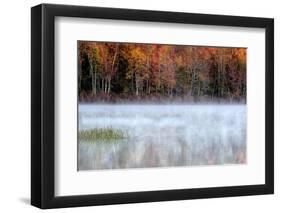 USA, Pennsylvania, Benton. Fog over Pond-Jay O'brien-Framed Photographic Print