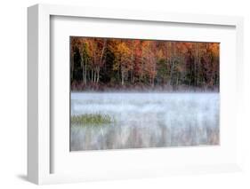 USA, Pennsylvania, Benton. Fog over Pond-Jay O'brien-Framed Photographic Print