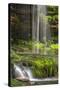 USA, Pennsylvania, Benton. Waterfall in Ricketts Glen State Park.-Jay O'brien-Stretched Canvas