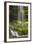 USA, Pennsylvania, Benton. Waterfall in Ricketts Glen State Park.-Jay O'brien-Framed Photographic Print