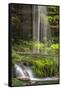 USA, Pennsylvania, Benton. Waterfall in Ricketts Glen State Park.-Jay O'brien-Framed Stretched Canvas