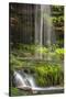 USA, Pennsylvania, Benton. Waterfall in Ricketts Glen State Park.-Jay O'brien-Stretched Canvas