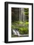 USA, Pennsylvania, Benton. Waterfall in Ricketts Glen State Park.-Jay O'brien-Framed Photographic Print