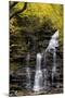 USA, Pennsylvania, Benton. Waterfall in Ricketts Glen State Park-Jay O'brien-Mounted Photographic Print
