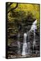 USA, Pennsylvania, Benton. Waterfall in Ricketts Glen State Park-Jay O'brien-Framed Stretched Canvas