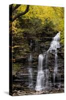 USA, Pennsylvania, Benton. Waterfall in Ricketts Glen State Park-Jay O'brien-Stretched Canvas