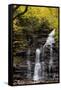 USA, Pennsylvania, Benton. Waterfall in Ricketts Glen State Park-Jay O'brien-Framed Stretched Canvas