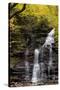 USA, Pennsylvania, Benton. Waterfall in Ricketts Glen State Park-Jay O'brien-Stretched Canvas