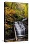 USA, Pennsylvania, Benton. Waterfall in Ricketts Glen State Park-Jay O'brien-Stretched Canvas