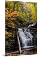 USA, Pennsylvania, Benton. Waterfall in Ricketts Glen State Park-Jay O'brien-Mounted Premium Photographic Print