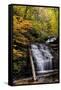 USA, Pennsylvania, Benton. Waterfall in Ricketts Glen State Park-Jay O'brien-Framed Stretched Canvas