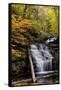 USA, Pennsylvania, Benton. Waterfall in Ricketts Glen State Park-Jay O'brien-Framed Stretched Canvas