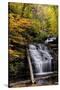 USA, Pennsylvania, Benton. Waterfall in Ricketts Glen State Park-Jay O'brien-Stretched Canvas