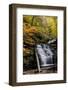 USA, Pennsylvania, Benton. Waterfall in Ricketts Glen State Park-Jay O'brien-Framed Photographic Print