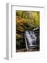 USA, Pennsylvania, Benton. Waterfall in Ricketts Glen State Park-Jay O'brien-Framed Photographic Print