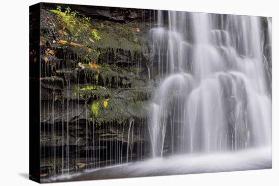 USA, Pennsylvania, Benton. Waterfall in Ricketts Glen State Park-Jay O'brien-Stretched Canvas