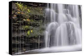 USA, Pennsylvania, Benton. Waterfall in Ricketts Glen State Park-Jay O'brien-Stretched Canvas