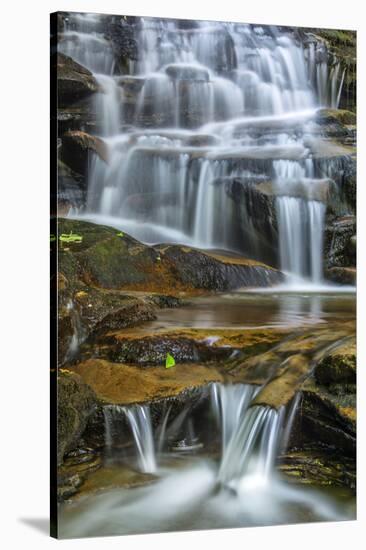 USA, Pennsylvania, Benton. Waterfall in Ricketts Glen State Park.-Jay O'brien-Stretched Canvas