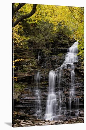 USA, Pennsylvania, Benton. Waterfall in Ricketts Glen State Park-Jay O'brien-Stretched Canvas