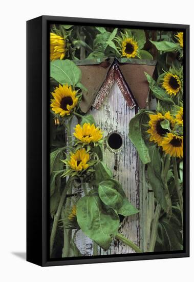 USA, Pennsylvania. Birdhouse and Garden Sunflowers-Jaynes Gallery-Framed Stretched Canvas