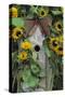 USA, Pennsylvania. Birdhouse and Garden Sunflowers-Jaynes Gallery-Stretched Canvas