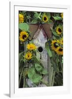 USA, Pennsylvania. Birdhouse and Garden Sunflowers-Jaynes Gallery-Framed Premium Photographic Print