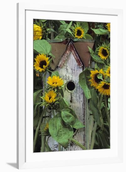 USA, Pennsylvania. Birdhouse and Garden Sunflowers-Jaynes Gallery-Framed Premium Photographic Print