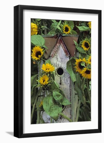 USA, Pennsylvania. Birdhouse and Garden Sunflowers-Jaynes Gallery-Framed Photographic Print