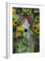 USA, Pennsylvania. Birdhouse and Garden Sunflowers-Jaynes Gallery-Framed Photographic Print