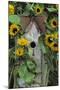 USA, Pennsylvania. Birdhouse and Garden Sunflowers-Jaynes Gallery-Mounted Photographic Print