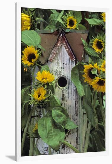 USA, Pennsylvania. Birdhouse and Garden Sunflowers-Jaynes Gallery-Framed Photographic Print