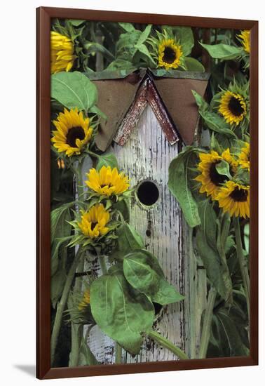 USA, Pennsylvania. Birdhouse and Garden Sunflowers-Jaynes Gallery-Framed Photographic Print