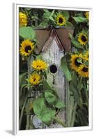 USA, Pennsylvania. Birdhouse and Garden Sunflowers-Jaynes Gallery-Framed Premium Photographic Print