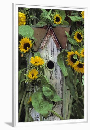 USA, Pennsylvania. Birdhouse and Garden Sunflowers-Jaynes Gallery-Framed Premium Photographic Print