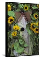 USA, Pennsylvania. Birdhouse and Garden Sunflowers-Jaynes Gallery-Framed Stretched Canvas