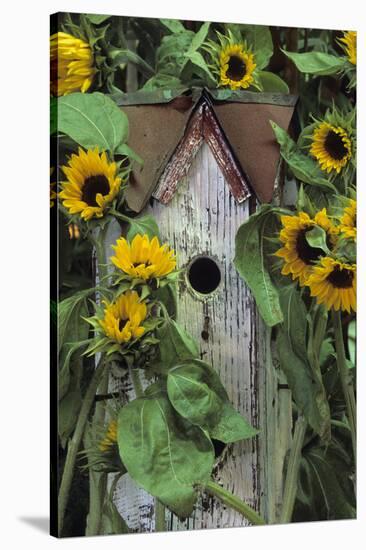 USA, Pennsylvania. Birdhouse and Garden Sunflowers-Jaynes Gallery-Stretched Canvas