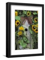 USA, Pennsylvania. Birdhouse and Garden Sunflowers-Jaynes Gallery-Framed Photographic Print