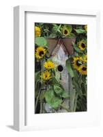 USA, Pennsylvania. Birdhouse and Garden Sunflowers-Jaynes Gallery-Framed Photographic Print