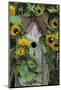 USA, Pennsylvania. Birdhouse and Garden Sunflowers-Jaynes Gallery-Mounted Photographic Print