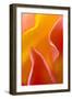 USA, Pennsylvania. Close Up of Petal Abstract-Jaynes Gallery-Framed Photographic Print