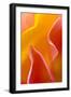 USA, Pennsylvania. Close Up of Petal Abstract-Jaynes Gallery-Framed Photographic Print