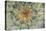 USA, Pennsylvania. Dandelion Seedhead Close Up-Jaynes Gallery-Stretched Canvas