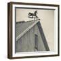 USA, Pennsylvania, Dutch Country, Amish Barn and Weathervane-Walter Bibikow-Framed Photographic Print