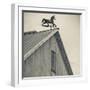 USA, Pennsylvania, Dutch Country, Amish Barn and Weathervane-Walter Bibikow-Framed Photographic Print