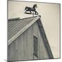 USA, Pennsylvania, Dutch Country, Amish Barn and Weathervane-Walter Bibikow-Mounted Photographic Print