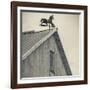 USA, Pennsylvania, Dutch Country, Amish Barn and Weathervane-Walter Bibikow-Framed Photographic Print