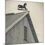 USA, Pennsylvania, Dutch Country, Amish Barn and Weathervane-Walter Bibikow-Mounted Photographic Print