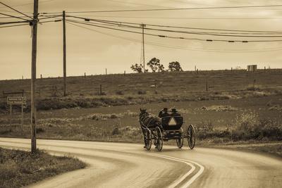 https://imgc.allpostersimages.com/img/posters/usa-pennsylvania-dutch-country-paradise-amish-horse-and-buggy_u-L-PRQ06O0.jpg?artPerspective=n