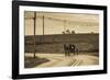 USA, Pennsylvania, Dutch Country, Paradise, Amish Horse and Buggy-Walter Bibikow-Framed Photographic Print